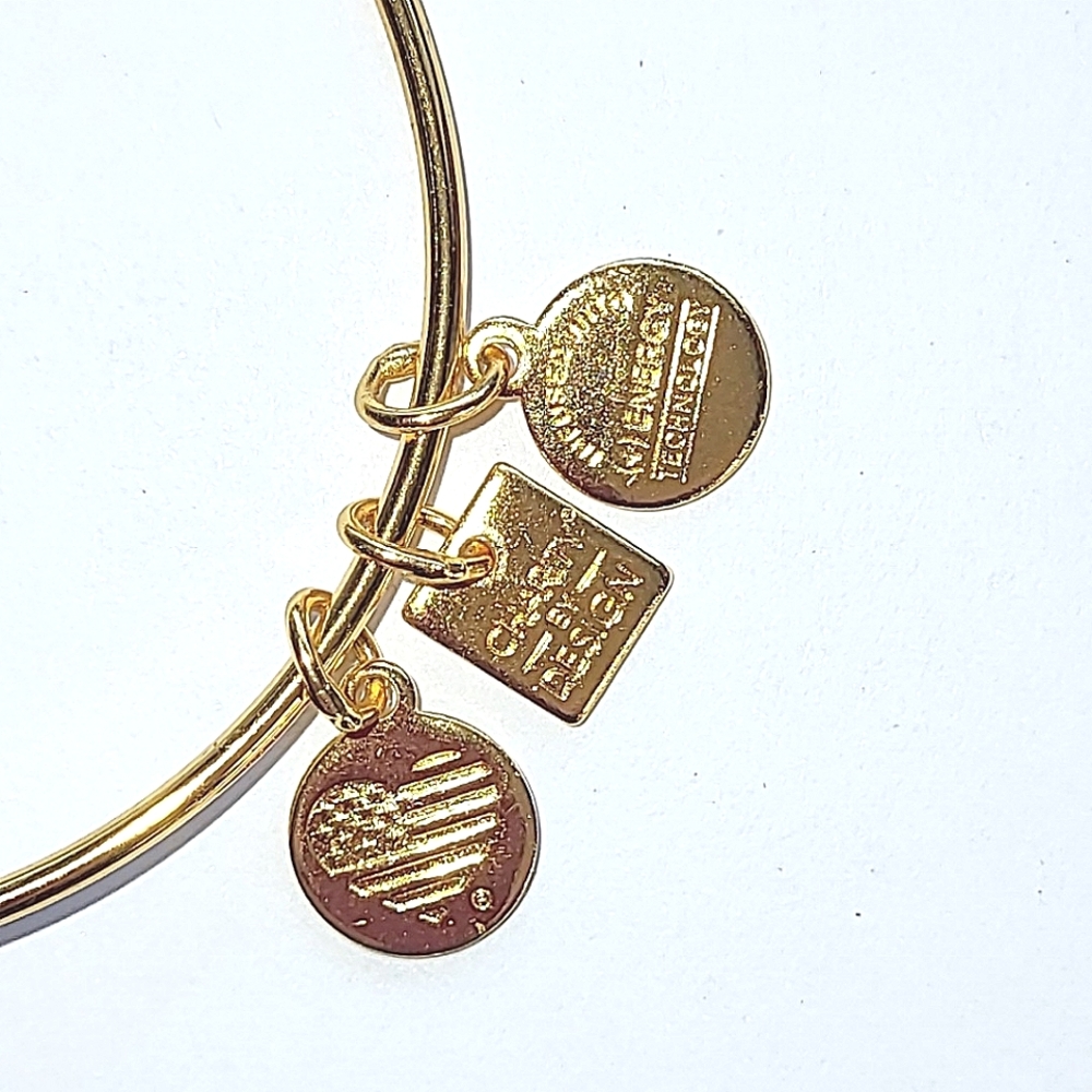 ALEX AND ANI "ARROWS OF FRIENDSHIP" BANGLE BRACELET - Picture 3 of 7